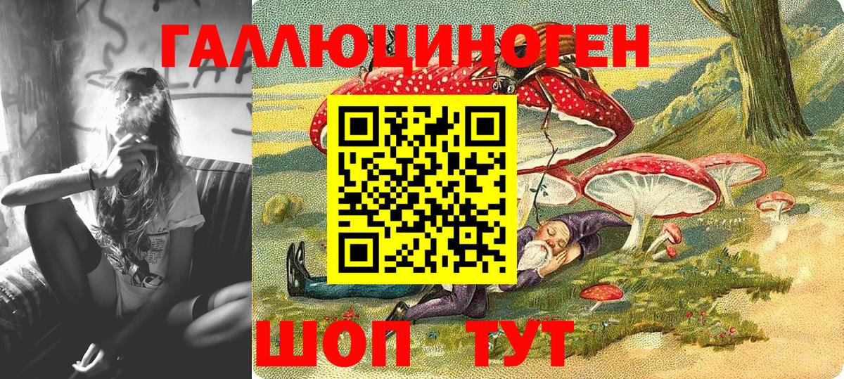 Галлюциногенные грибы Psilocybe Узловая