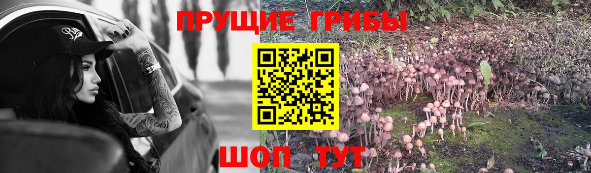 Псилоцибиновые грибы Psilocybine cubensis  Вход с VPN  Узловая 